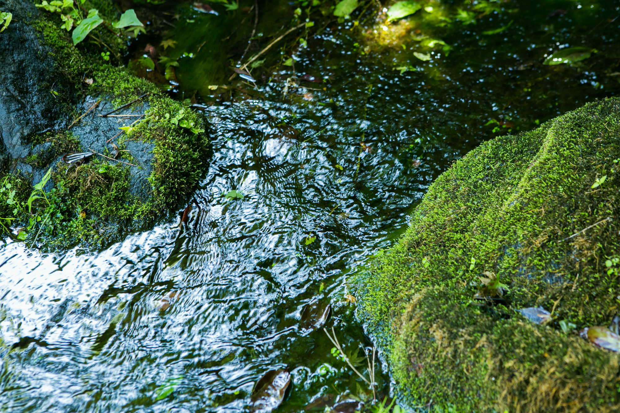 Готель Yugawara-Onsen Manyoso Екстер'єр фото