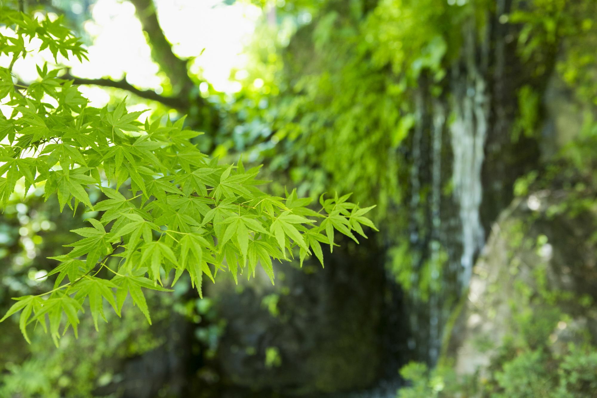 Готель Yugawara-Onsen Manyoso Екстер'єр фото